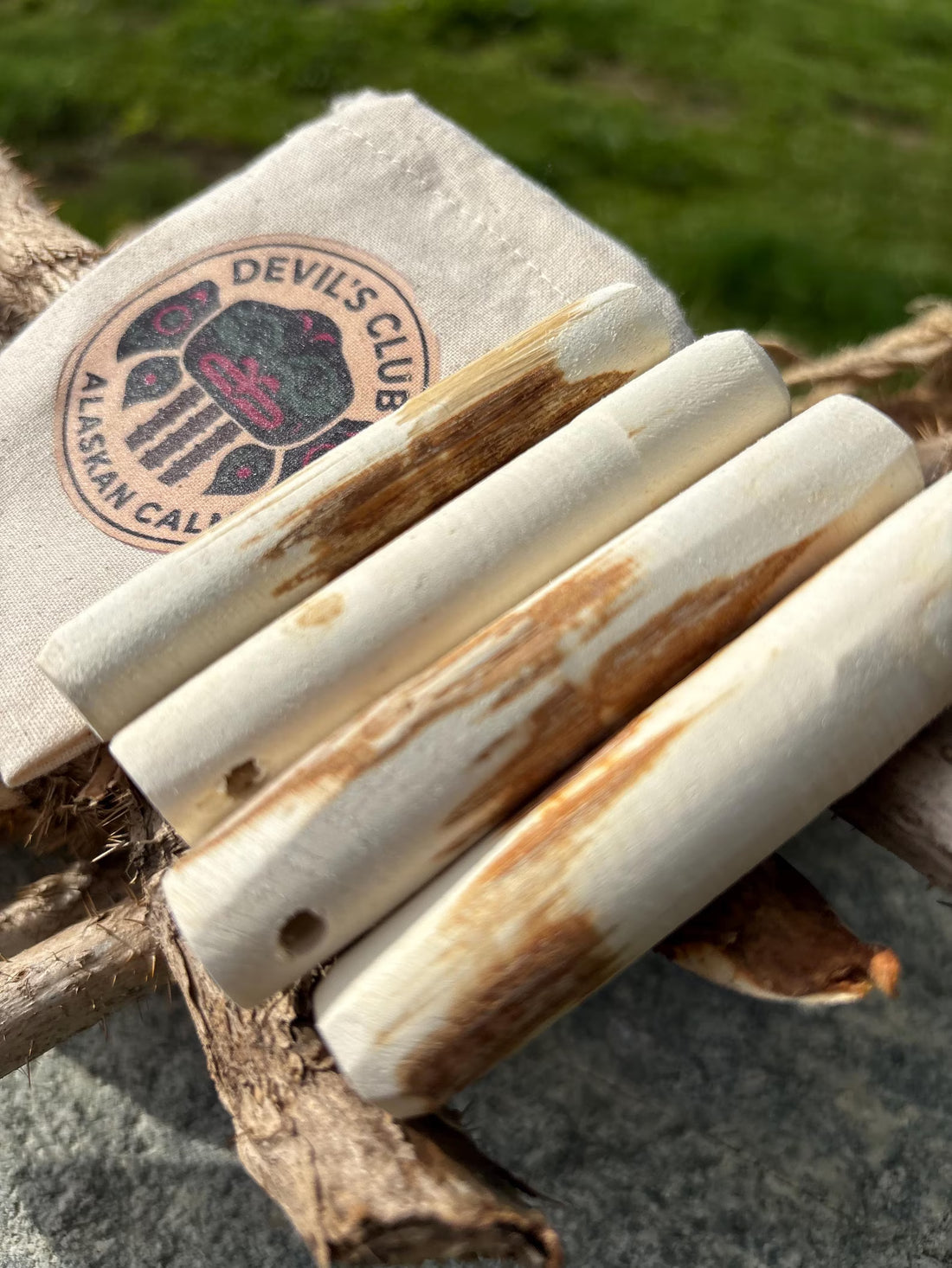 Alaskan Devil's Club Sticks: Natural Air Freshener, DIY Aromatic Bead Supply