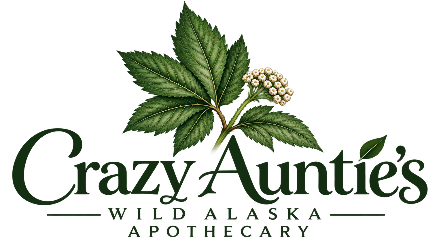 Crazy Auntie's Devil's Club Salve